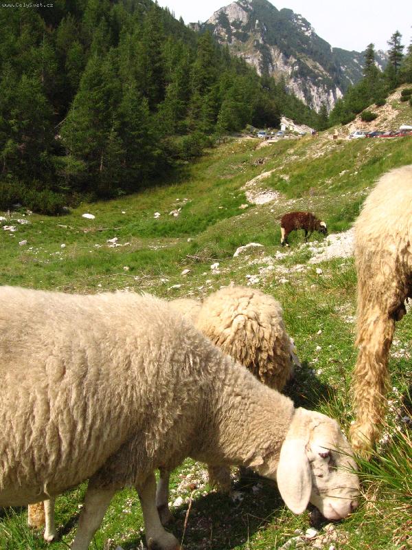 Foto: Na Vr�i�i