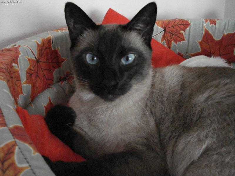 Foto: mike�ek