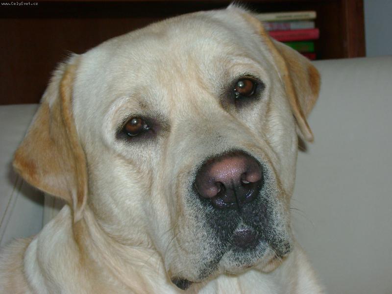 Foto: Ja Charlie