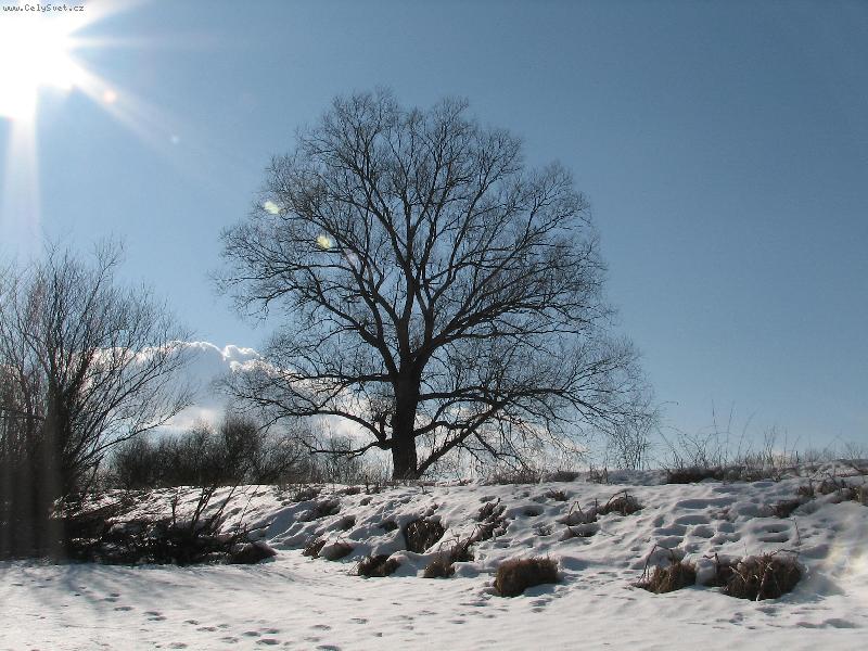 Foto: Zima