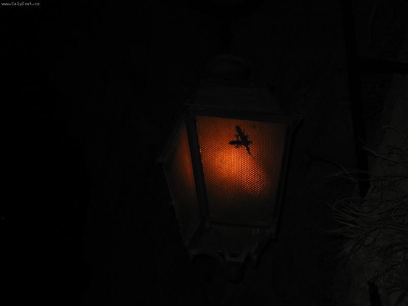 Foto: je�t�rky na lamp�-je�t�rky na lamp�