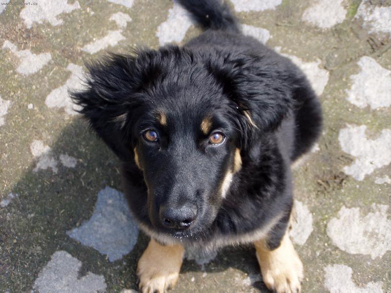 Foto: Kuk-B�ra