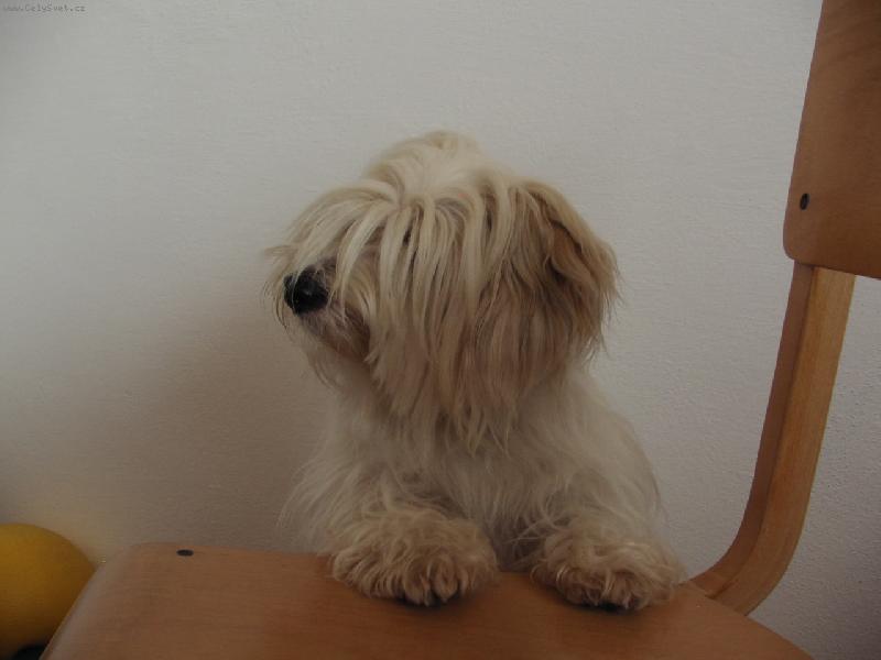 Foto: Nancy