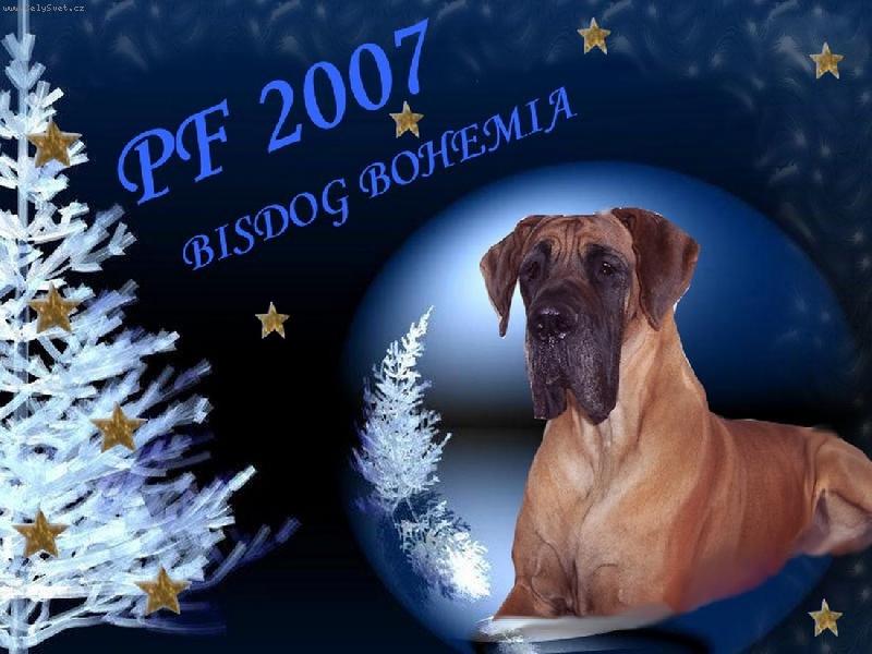 Foto: pf 2007