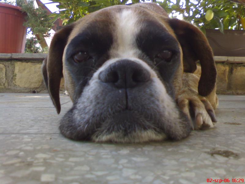 Foto: ...Betynka...