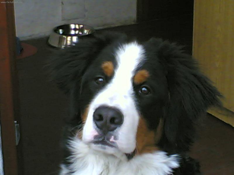 Foto: Ben