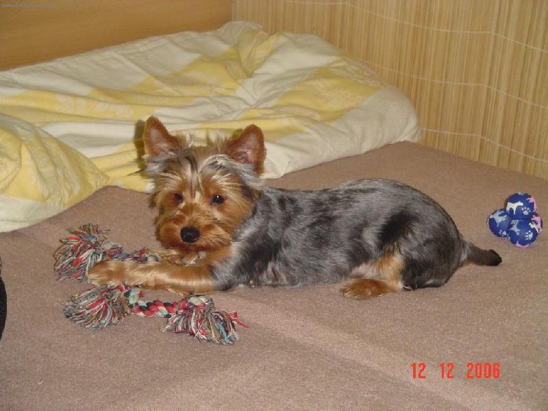 Foto: Monty-Monty