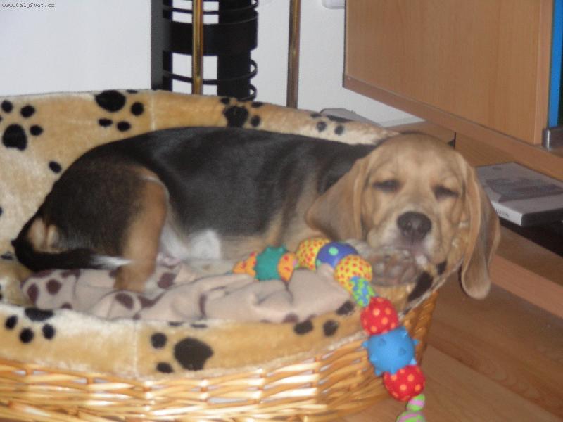 Foto: Spink�m!!
