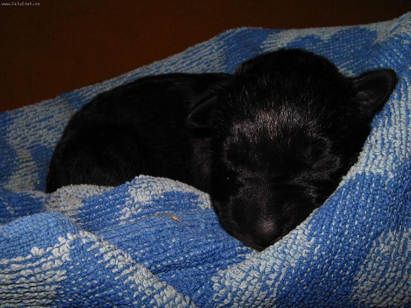 Foto: Dobrou noc
