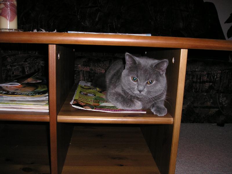 Foto: Leonek