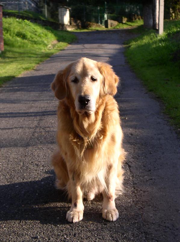 Foto: Lucky