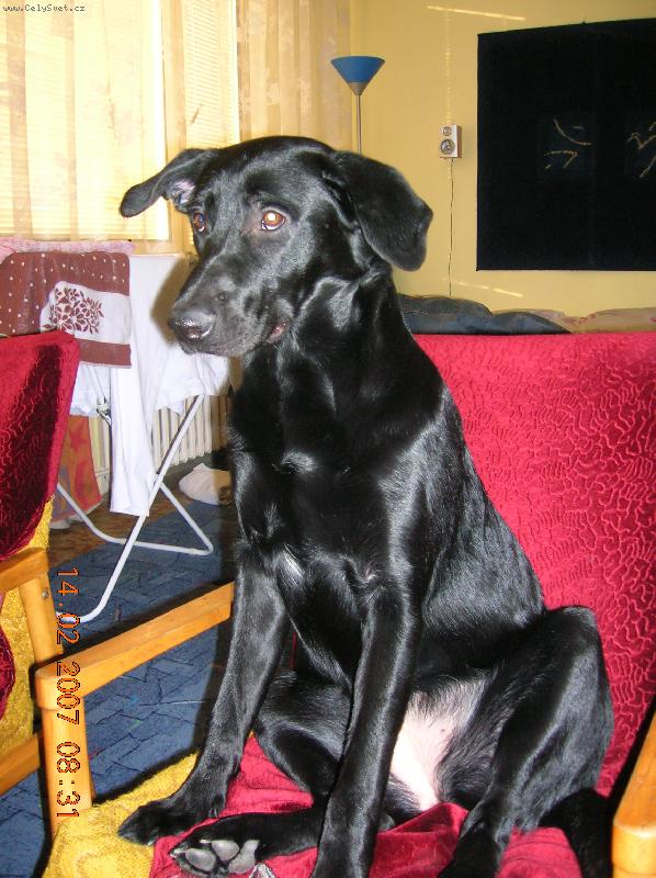 Foto: indy