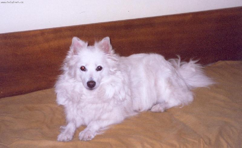 Foto: BRIXINA