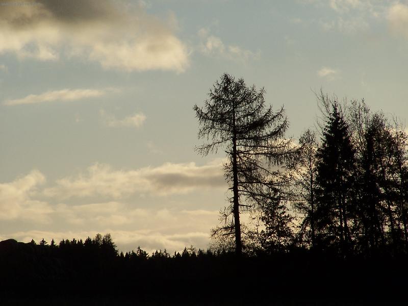 Foto: Krajina