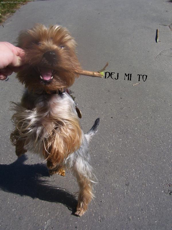 Foto: Dej mi to!!!!