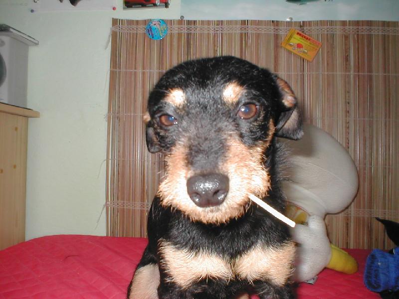 Foto: Ben