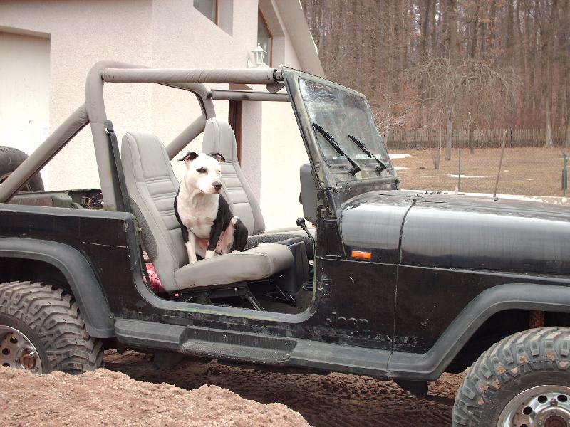 Foto: Fido