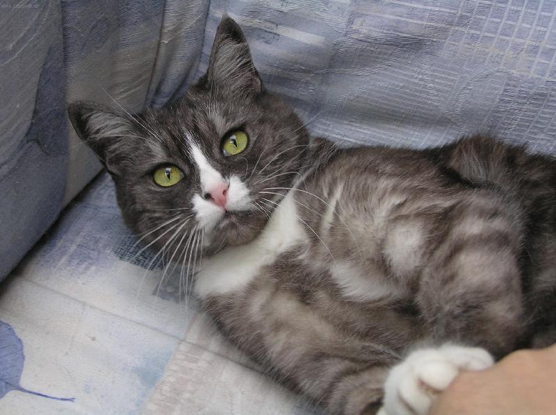 Foto: Meg