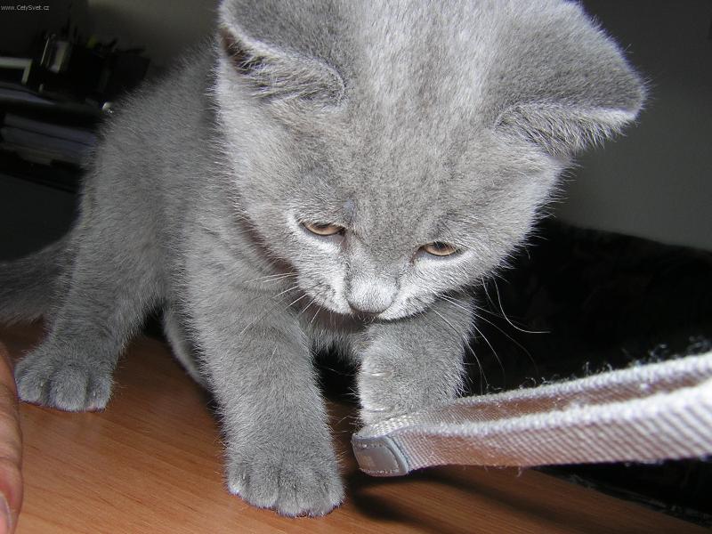 Foto: Lord