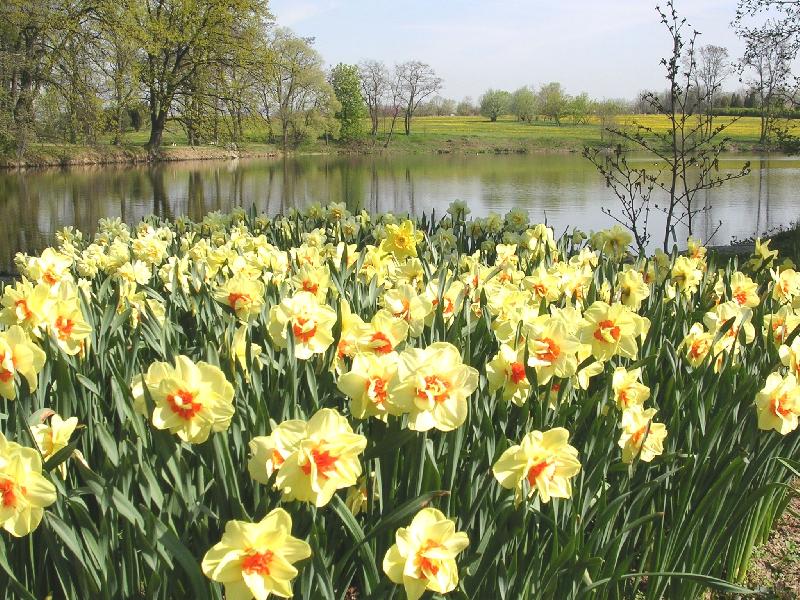 Foto: Jarn� pozdrav z Pr�honic