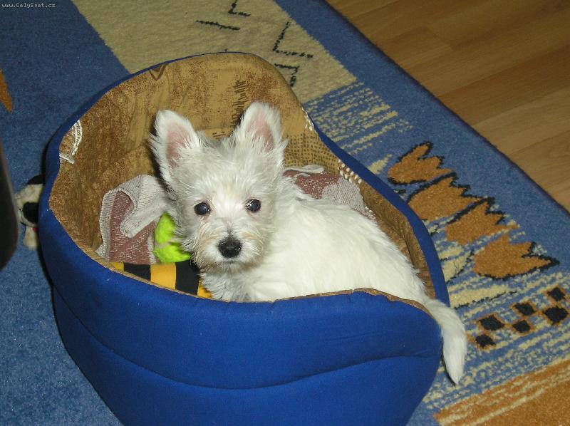 Foto: Terinka
