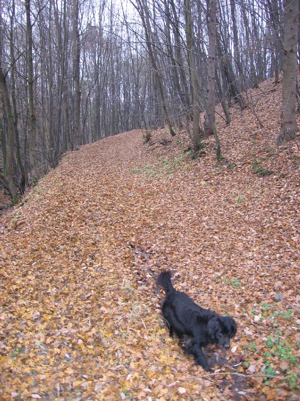 Foto: Podzim