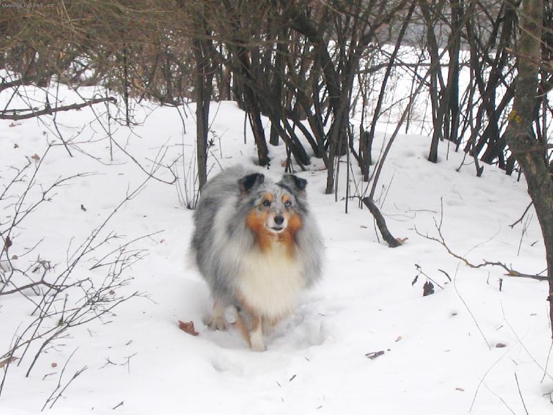 Foto: �eltie3
