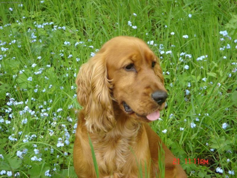Foto: Fredie