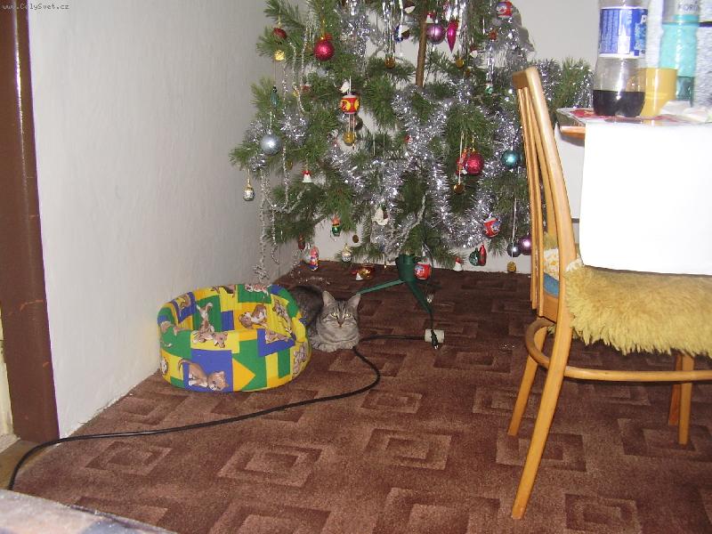 Foto: tO JSEM DOSTAL k Vanoc�m to se m�m.....:)-To byly moje v�noce plus nov� z�chod, hra�ka a �r�dlo
