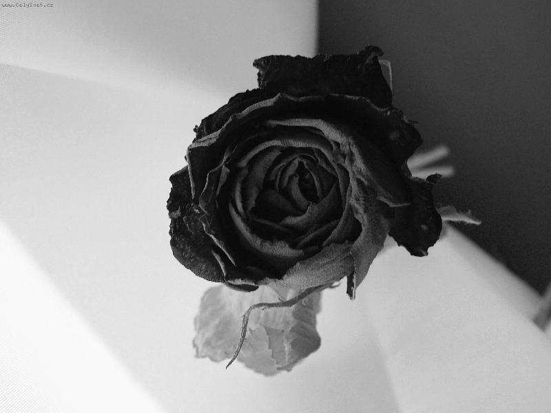 Foto: st���