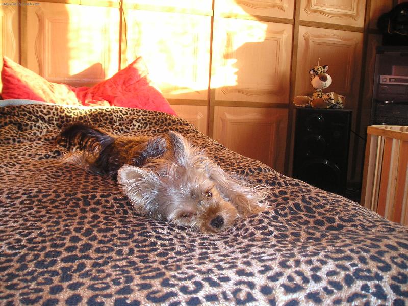 Foto: pohoda