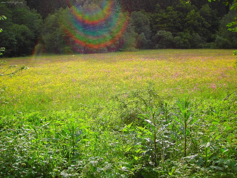 Foto: louka
