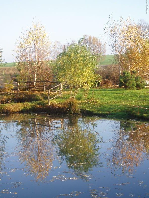 Foto: Podzim