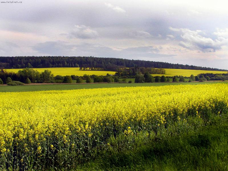 Foto: �epka