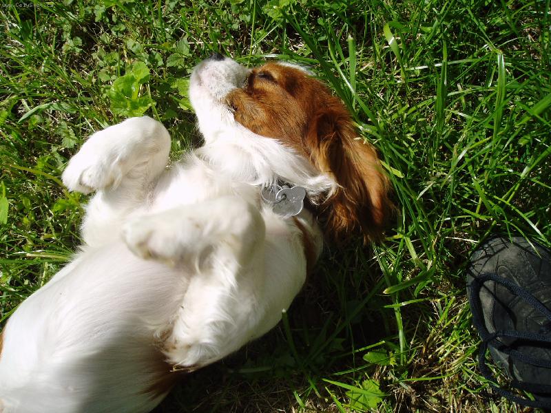 Foto: Pohodi�ka