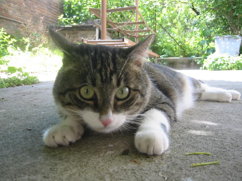 Foto: rarasek