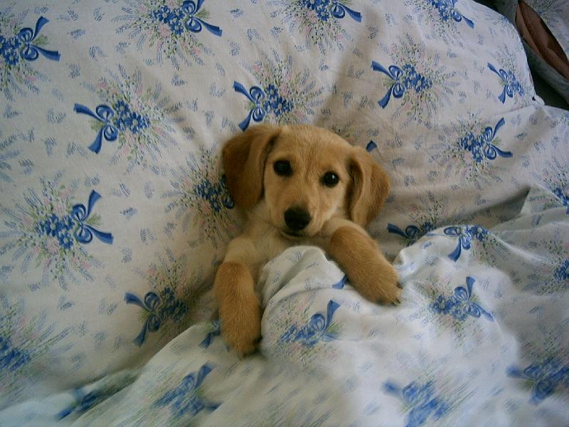 Foto: Montynka