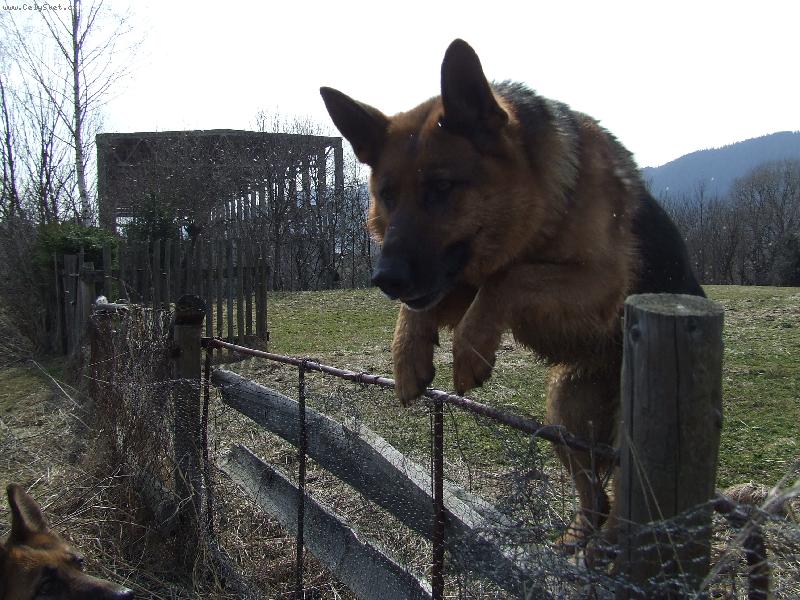 Foto: Hop-skok
