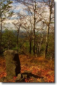 n�hrobek