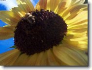 Odlet v�elky