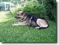 Nejlep�� kamar�di