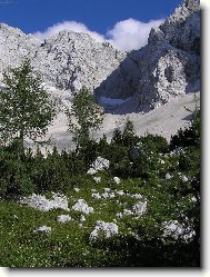 Kamnick� Alpy