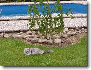 Megie u baz�nu