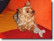 moje hodn� hol�i�ka