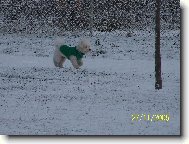 NA PROCH�ZCE