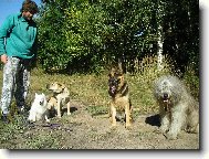 Na proch�zce