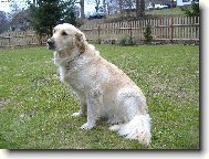 Na�e Peggy