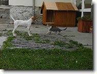 Max a Frant�k