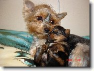 V�ude dob�e, u m�my nejl�p...