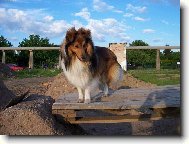 Vyhl�dka